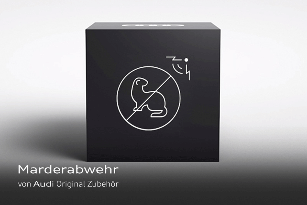 Marderabwehr